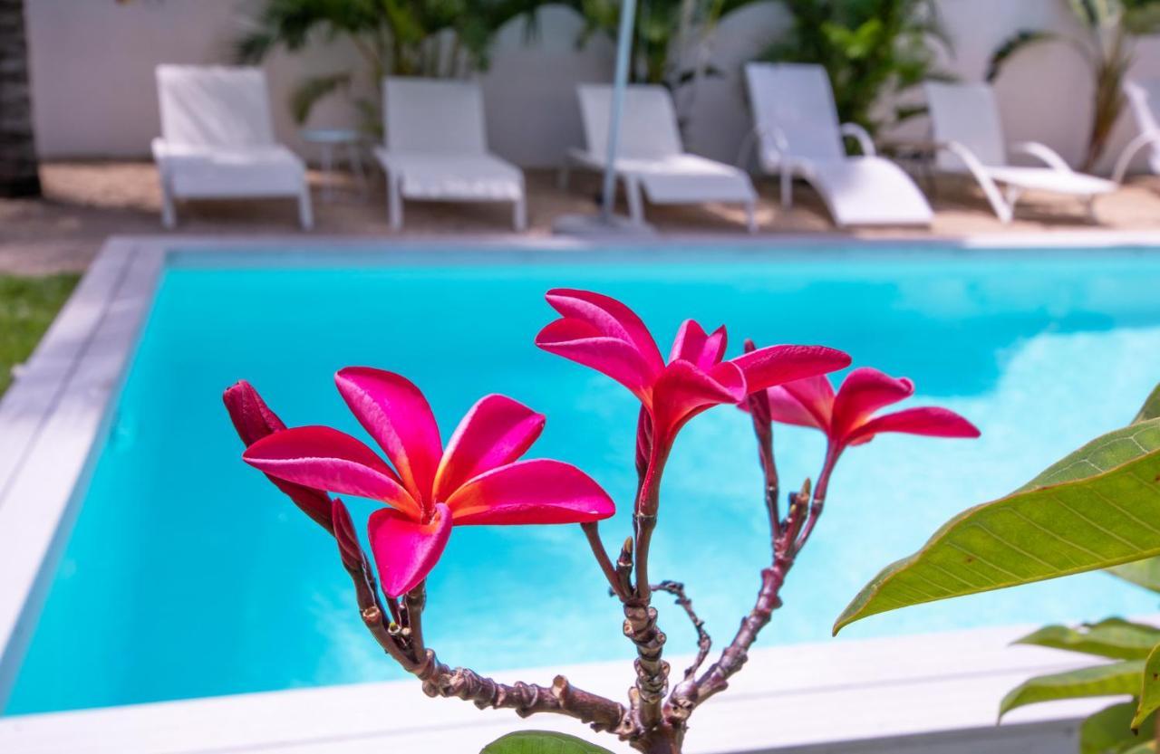 Le Mandala Moris Guesthouse Pointe Aux Canonniers Grand-Baie Eksteriør billede