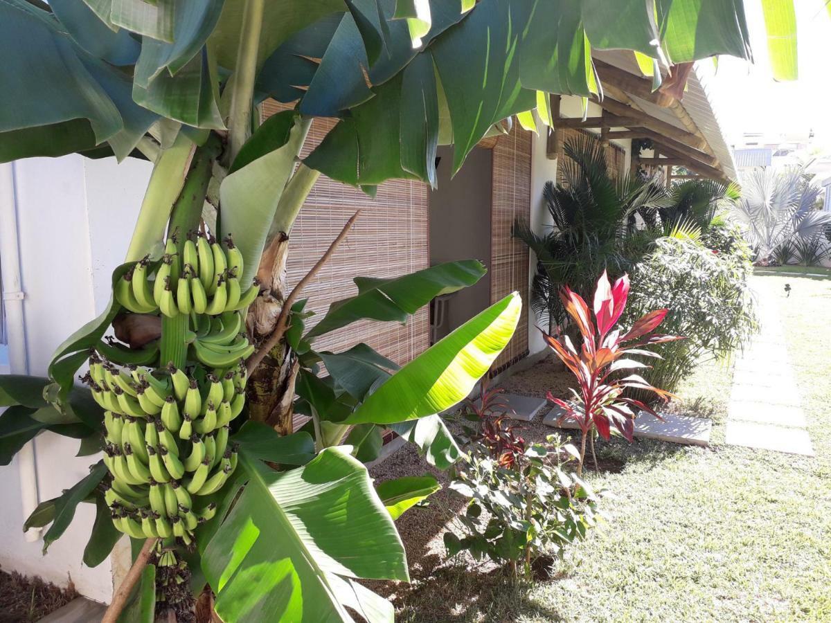 Le Mandala Moris Guesthouse Pointe Aux Canonniers Grand-Baie Eksteriør billede